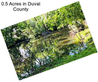 0.5 Acres in Duval County