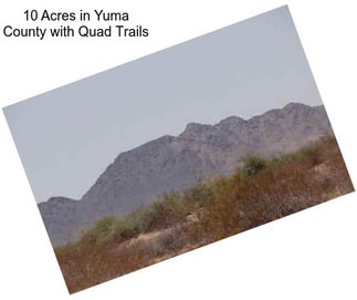 10 Acres in Yuma County with Quad Trails
