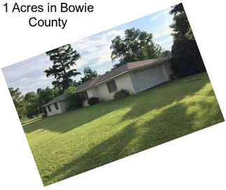 1 Acres in Bowie County