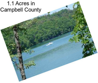 1.1 Acres in Campbell County