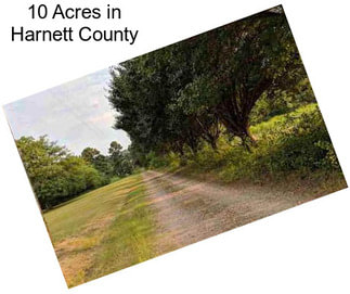 10 Acres in Harnett County