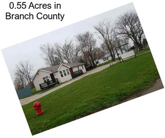 0.55 Acres in Branch County