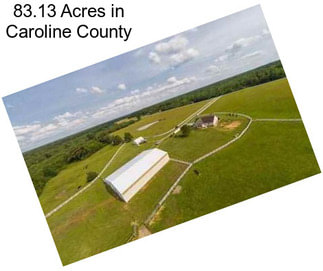 83.13 Acres in Caroline County