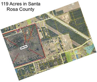 119 Acres in Santa Rosa County