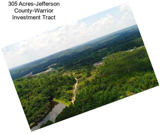 305 Acres-Jefferson County-Warrior Investment Tract