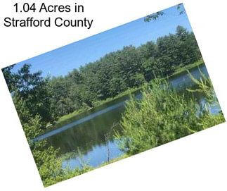 1.04 Acres in Strafford County