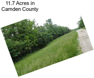 11.7 Acres in Camden County