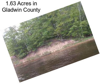 1.63 Acres in Gladwin County