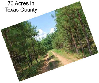 70 Acres in Texas County