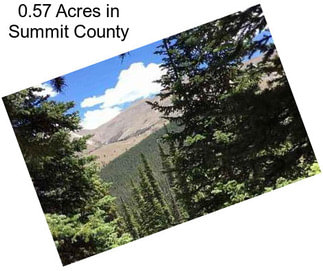 0.57 Acres in Summit County