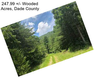 247.99 +/- Wooded Acres, Dade County
