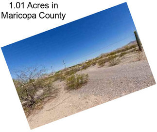 1.01 Acres in Maricopa County