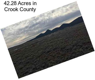 42.28 Acres in Crook County