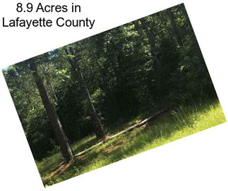 8.9 Acres in Lafayette County