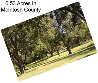 0.53 Acres in McIntosh County