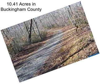 10.41 Acres in Buckingham County