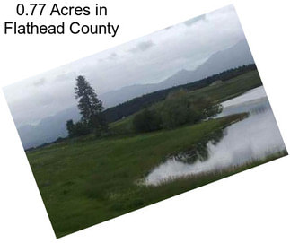 0.77 Acres in Flathead County