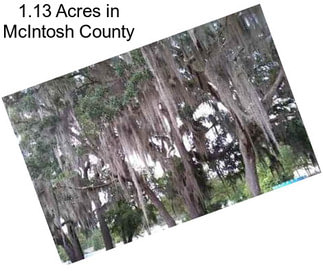 1.13 Acres in McIntosh County