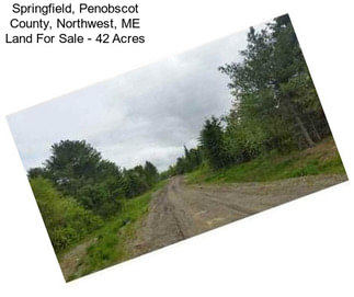 Springfield, Penobscot County, Northwest, ME Land For Sale - 42 Acres