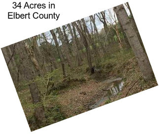 34 Acres in Elbert County