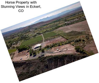 Horse Property with Stunning Views in Eckert, CO