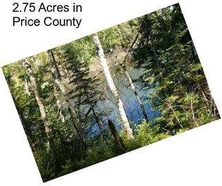 2.75 Acres in Price County