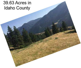 39.63 Acres in Idaho County