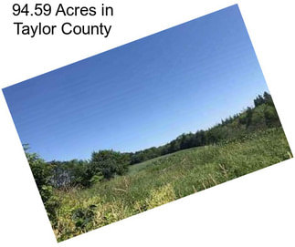 94.59 Acres in Taylor County