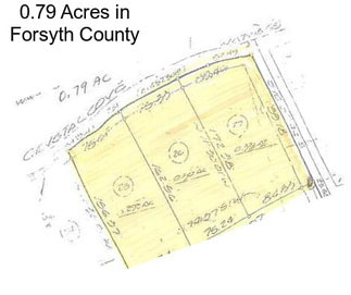 0.79 Acres in Forsyth County