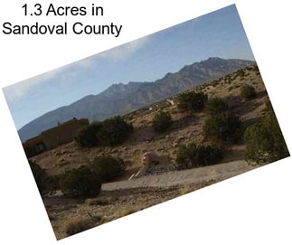 1.3 Acres in Sandoval County