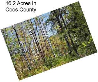 16.2 Acres in Coos County