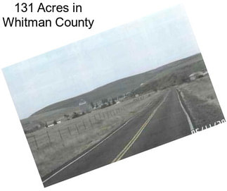 131 Acres in Whitman County