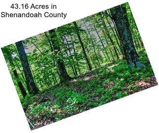 43.16 Acres in Shenandoah County