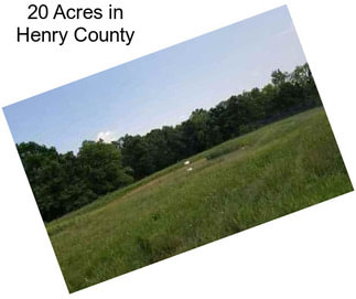 20 Acres in Henry County
