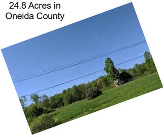 24.8 Acres in Oneida County