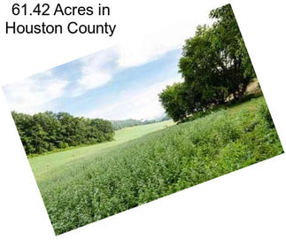 61.42 Acres in Houston County