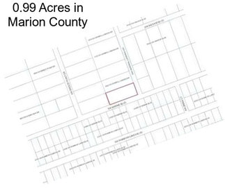 0.99 Acres in Marion County