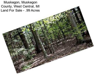 Muskegon, Muskegon County, West Central, MI Land For Sale - .99 Acres