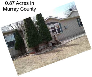 0.87 Acres in Murray County