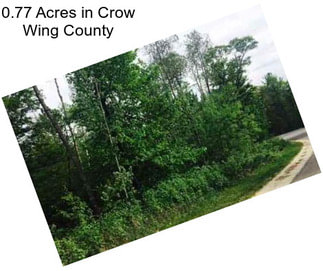 0.77 Acres in Crow Wing County