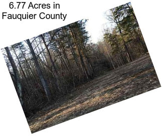 6.77 Acres in Fauquier County