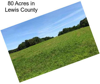 80 Acres in Lewis County