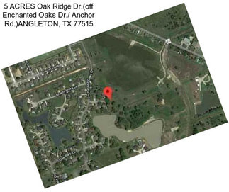 5 ACRES Oak Ridge Dr.(off Enchanted Oaks Dr./ Anchor Rd.)ANGLETON, TX 77515
