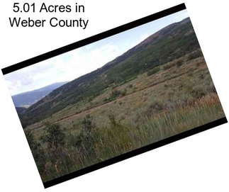 5.01 Acres in Weber County
