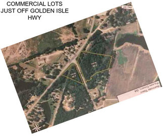 COMMERCIAL LOTS JUST OFF GOLDEN ISLE HWY