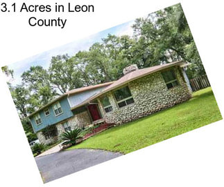 3.1 Acres in Leon County