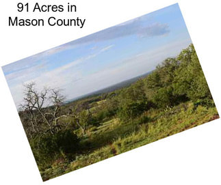 91 Acres in Mason County