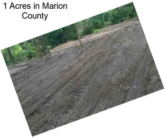 1 Acres in Marion County