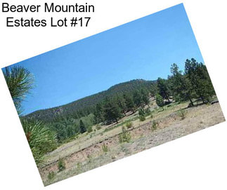 Beaver Mountain Estates Lot #17