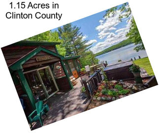 1.15 Acres in Clinton County